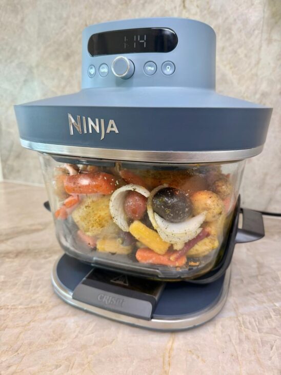 Ninja air fryer