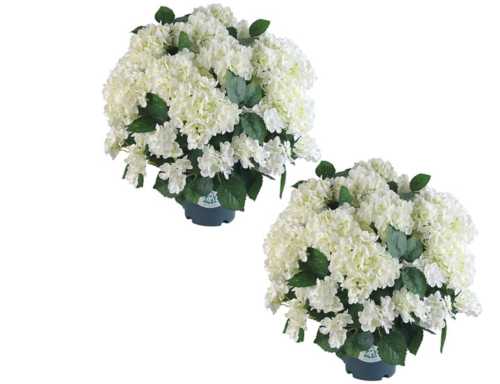 artificial flowers