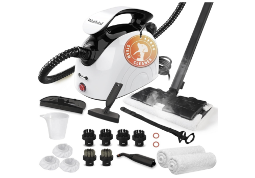 car steam cleaning
