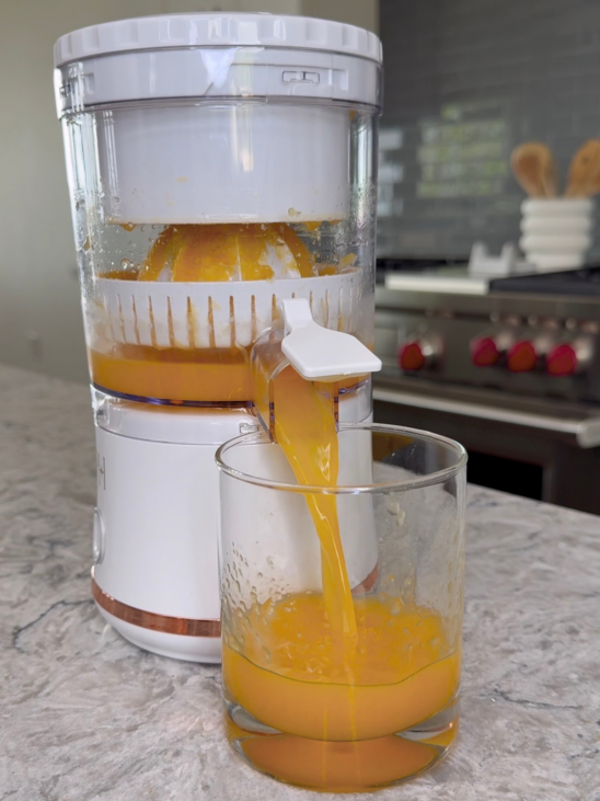 mini portable juicer