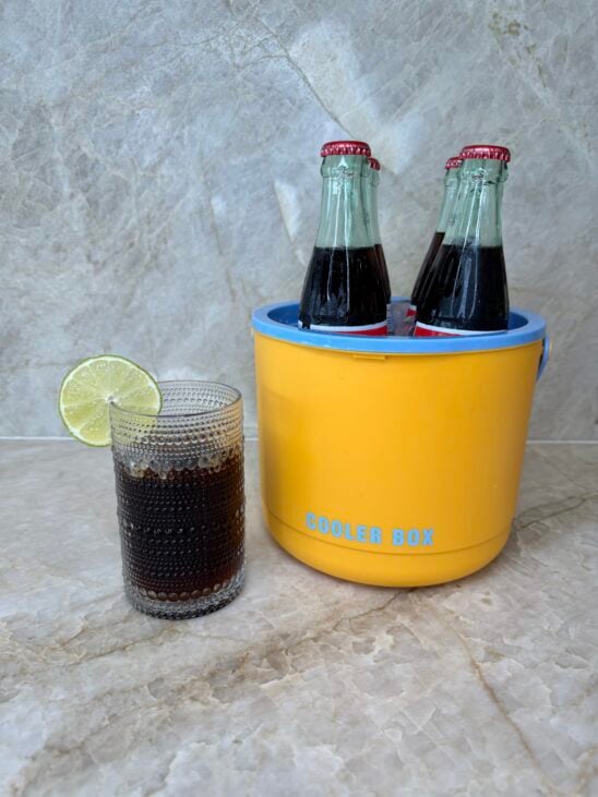 2 in 1 ice bucket