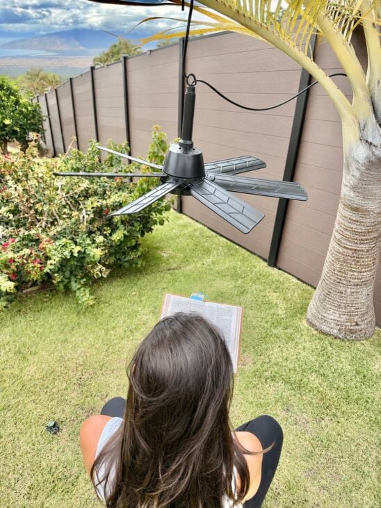 outdoor ceiling fan
