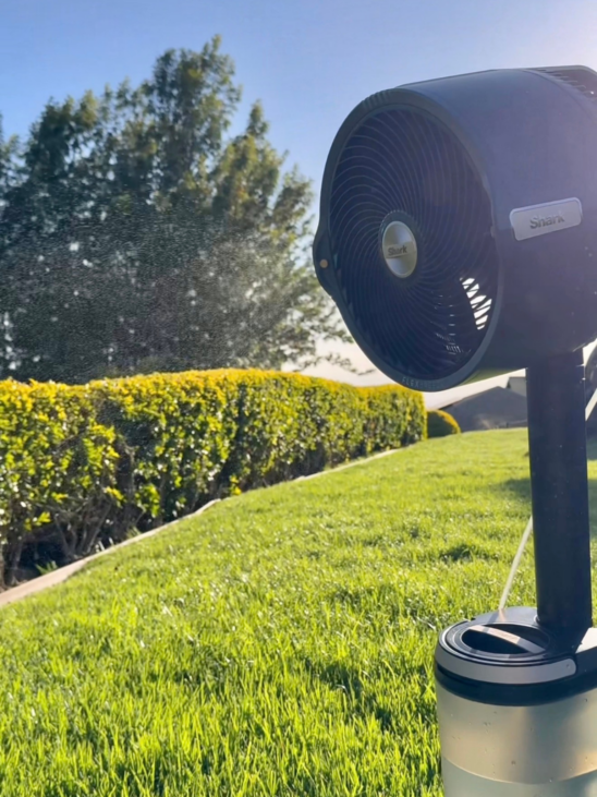 outdoor hosting finds