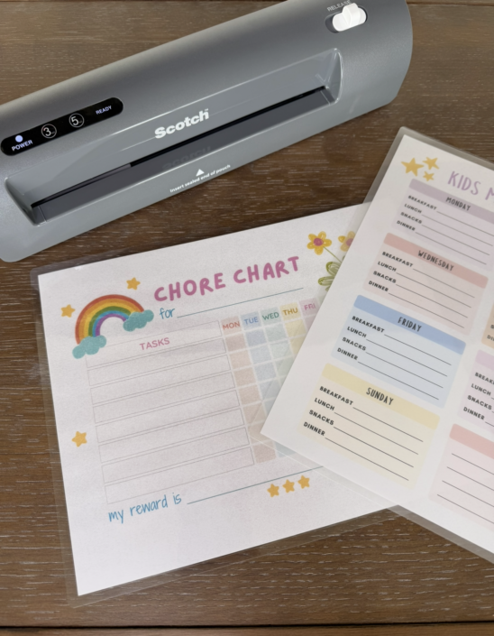 thermal laminator